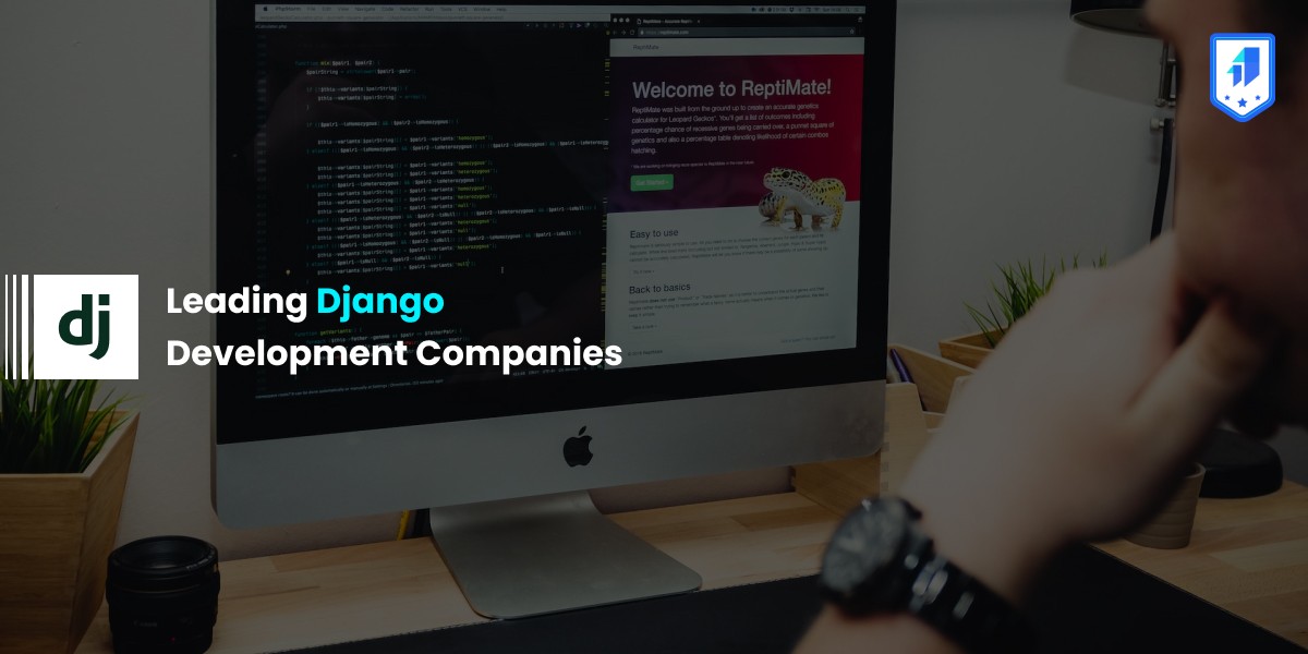 django web development companies