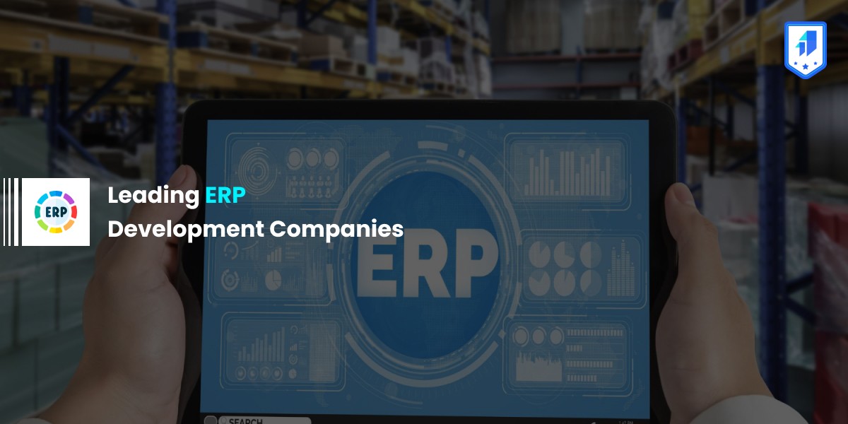 erp development companies in tanques