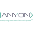 anyon systems inc.