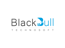blackbulltechnosoft