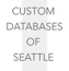 custom databases of seattle