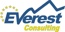 everest consulting