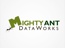 mighty ant data works