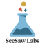 seesaw labs