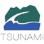 tsunami solutions ltd.