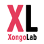 xongolab technologies llp